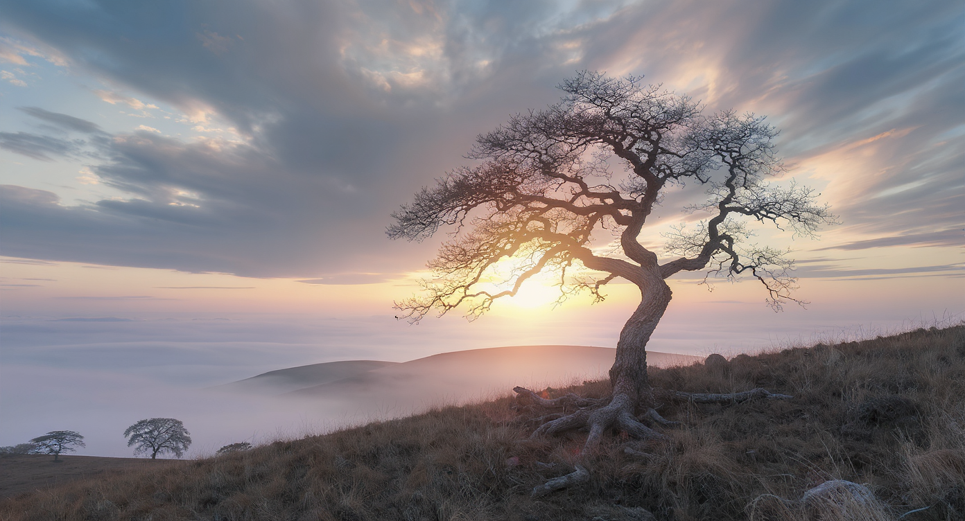 Someone Has to Make the Money